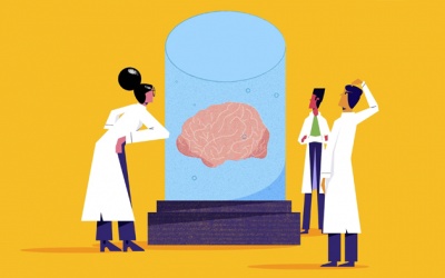 Làm sao giữ trí óc minh mẫn, tâm trí nhạy bén và năng suất?