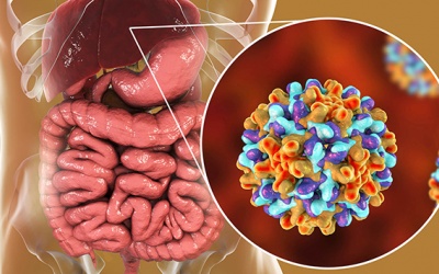 Giảm “gánh nặng” do viêm gan B, C