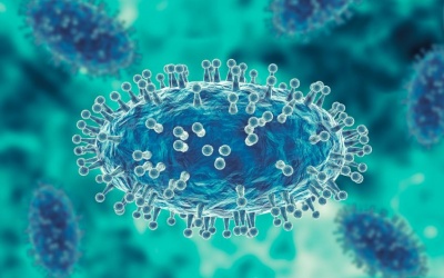 Liên tiếp nhiều nước ghi nhận các ca tử vong vì bệnh đậu mùa khỉ