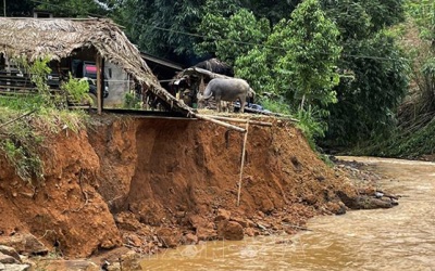 Bắc Bộ và Trung Bộ tiếp tục mưa lớn trong ngày 12/8