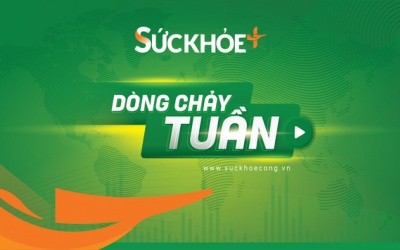 Dòng chảy tuần