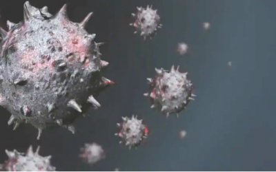 Đặt lại tên mới cho các biến thể virus đậu mùa khỉ, tránh hiểu lầm