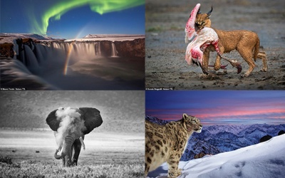 Ngắm thiên nhiên kỳ thú qua Giải thưởng Nhiếp ảnh Nature TTL 2022