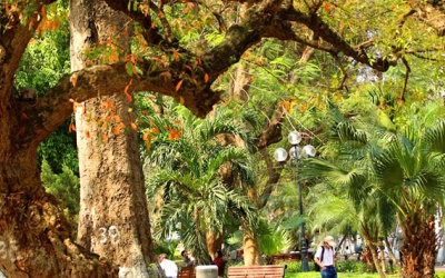 Vì sao Hà Nội là điểm đến hấp dẫn nhất thế giới vào mùa Thu?