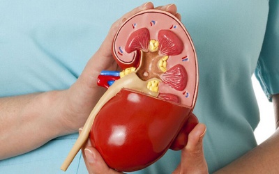 Những điều cần biết trong quá trình điều trị suy thận