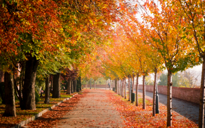 Những điểm đến du lịch vào mùa Thu đánh thức tâm hồn của bạn