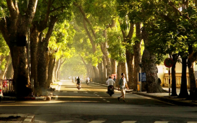 Đầu tuần, ngày nắng mưa chủ yếu vào chiếu tối và đêm