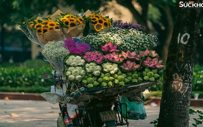 Những gánh hàng rong chở cả mùa thu Hà Nội