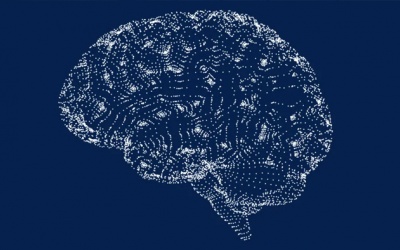 Nghiên cứu mới: Béo phì có liên quan tới yếu tố thần kinh?