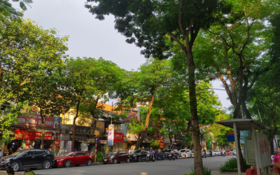 Bắc Bộ hửng nắng, Nam Bộ tiếp tục mưa dông