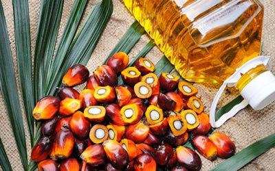 Dầu cọ có phải sự lựa chọn đúng đắn cho sức khỏe?