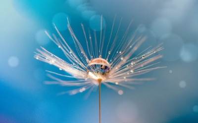 Tử vi thứ Sáu (7/10/2022): Kim Ngưu nên chú ý tới những chi tiết nhỏ