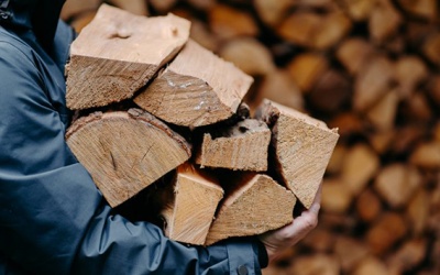 Khủng hoảng khí đốt: Mùa Đông đen tối cho những cánh rừng ở châu Âu