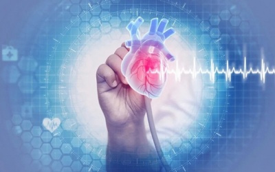 Gánh nặng bệnh lý tim mạch đi kèm xơ vữa động mạch