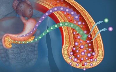 Xơ vữa động mạch ở người bệnh đái tháo đường