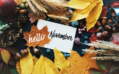 Tử vi tháng 11/2022: Khuyên Kim Ngưu nên tỏ ra cởi mở hơn với những điều mới lạ