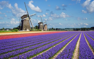 Hà Lan: trải nghiệm du lịch thăng hoa ở vùng đất thấp