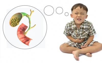 Bé 8 tuổi bị sỏi mật 6mm dùng TPBVSK Kim Đởm Khang được không?