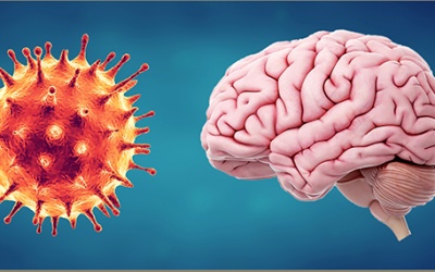 Phát hiện tác động mới của COVID-19 lên não người