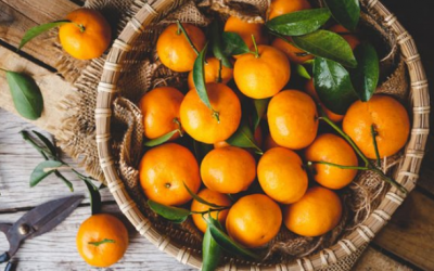 Cam có an toàn cho người bị đái tháo đường?