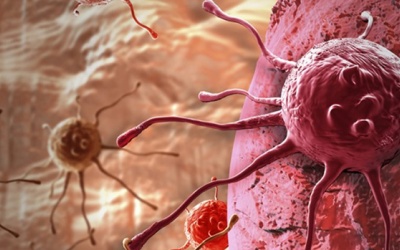 Cách tế bào ung thư trốn tránh cơ chế miễn dịch