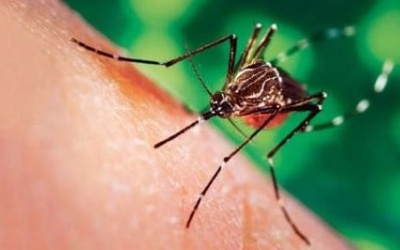 Số ca mắc bệnh sốt xuất huyết tăng gấp 4,9 lần so với cùng kì năm ngoái