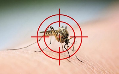 Những điều sinh viên nên làm để phòng bệnh sốt xuất huyết