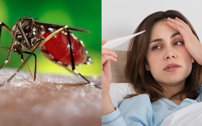 Thực phẩm cần tránh khi mắc sốt xuất huyết