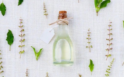 Những thành phần chống muỗi lành tính và hiệu quả