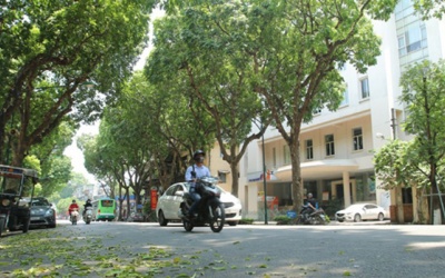 Bắc Bộ trời nắng, Nam Bộ mưa dông dài ngày