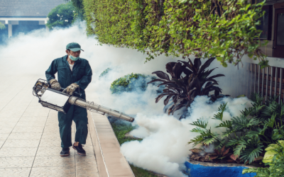 Hà Nội: Dịch sốt xuất huyết có thể đạt đỉnh vào cuối năm