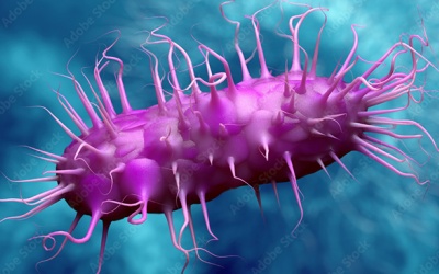 Loại vi khuẩn trong vụ ngộ độc trường iSchool Nha Trang nguy hiểm thế nào?