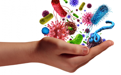 7 loại vi khuẩn gây hại có trong thực phẩm và cách phòng tránh