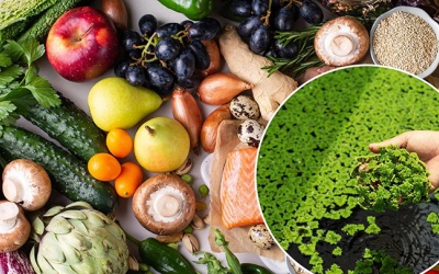 Chế độ ăn Địa Trung Hải 'xanh' đốt cháy mỡ nội tạng tốt hơn