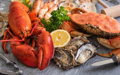 Dấu hiệu trẻ dị ứng động vật có vỏ