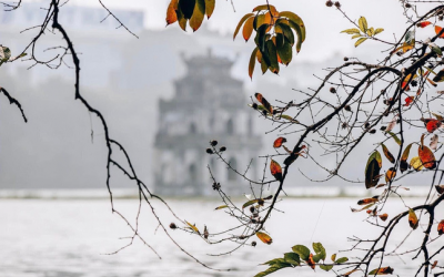 Thời tiết 9/12: Bắc Bộ lạnh hơn, Quảng Ngãi - Khánh Hòa mưa rào và dông