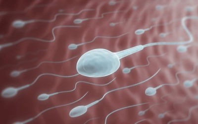 Cách giúp nam giới tăng số lượng tinh trùng hiệu quả