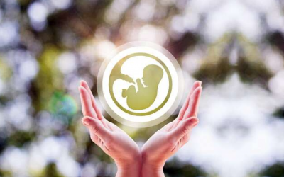 Thiếu sắt tăng nguy cơ vô sinh