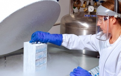 Chuyên gia chia sẻ những điều bạn cần biết về đông lạnh trứng