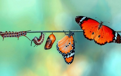 Tử vi thứ Bảy (17/12/2022): Song Ngư nên sẵn sàng với những thay đổi