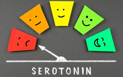 Biện pháp tăng nồng độ serotonin để cải thiện tâm trạng