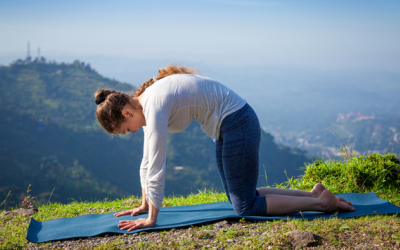 3 bước đơn giản với tư thế cat-cow giúp bảo vệ cột sống 