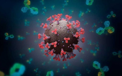 Tế bào miễn dịch T vẫn ngăn ngừa hiệu quả các biến thể phụ Omicron