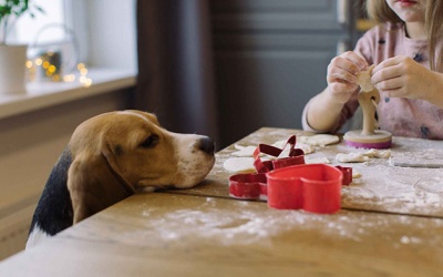 Tử vi thứ Ba (27/12/2022): Ma Kết muốn giúp đỡ người khác nhiều hơn