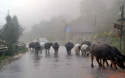 Đón không khí lạnh tăng cường, vùng núi Bắc Bộ có mưa