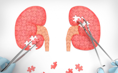 Dấu hiệu bạn nên đi kiểm tra chức năng thận