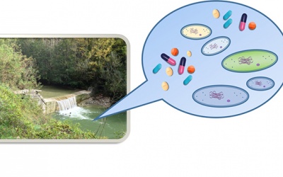 Dư lượng kháng sinh trong nước: Mối đe dọa với sức khỏe