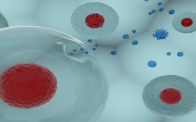 Nghiên cứu mới: Mối quan hệ của bệnh thủy đậu và bệnh đột quỵ