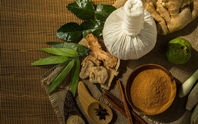 Cây thuốc nam có lợi cho người mỡ máu cao 