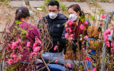 Tết Quý Mão, chưng hoa gì để hút may mắn, tài lộc?